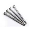 Galvanized Concrete Steel Nails